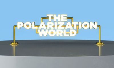 Zoom sur Polaroid - The Polarization World