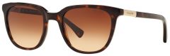 Lunettes de soleil Ralph Lauren - RA5206 137813 51-20 pas chères