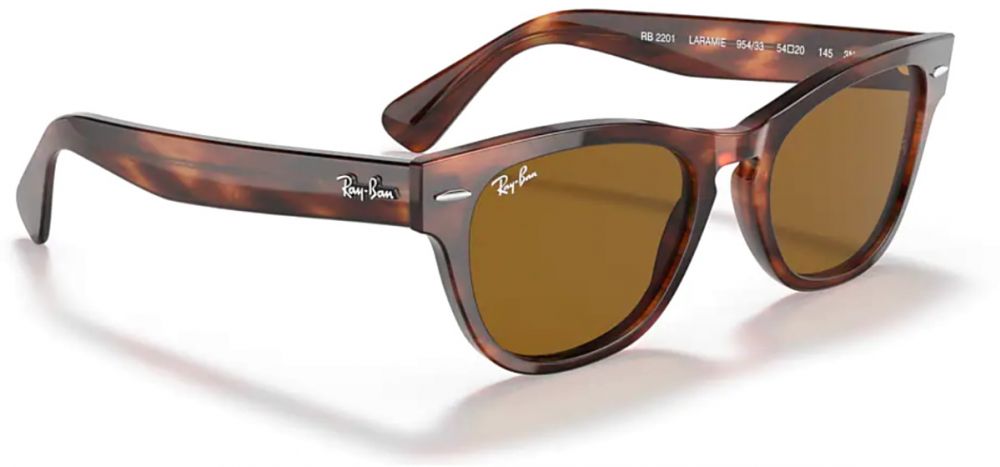 laramie ray ban