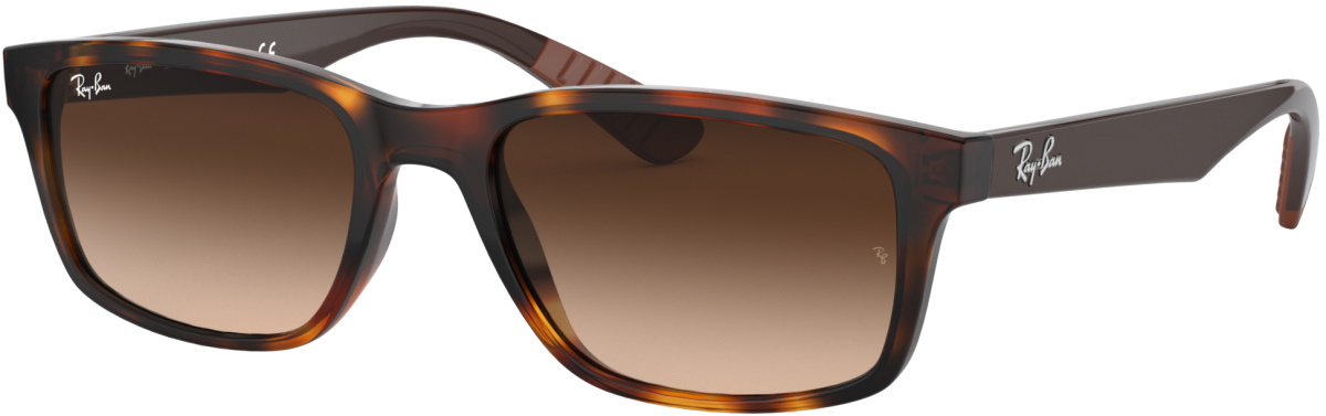Ray Ban Rb4234 Lunettes de soleil Ray-Ban RB4234 6205/13 58-16 pas cher